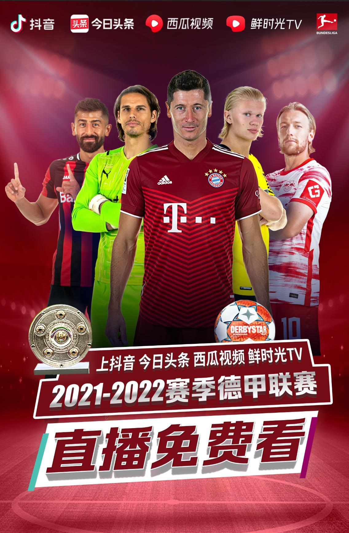 梅不仅是为
